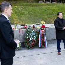 Gegužės 9-osios minėjimas Vilniuje: mažiau pompastikos ir nuoskauda dėl sovietinių paminklų  