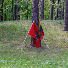 Šeimų sąjūdis steigia partiją, žada dalyvauti Seimo rinkimuose