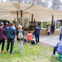 Šeimų sąjūdis steigia partiją, žada dalyvauti Seimo rinkimuose