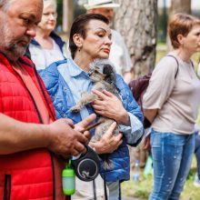 Šeimų sąjūdis steigia partiją, žada dalyvauti Seimo rinkimuose