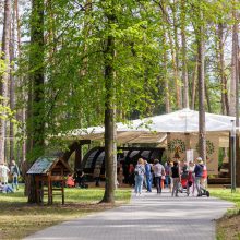 Šeimų sąjūdis steigia partiją, žada dalyvauti Seimo rinkimuose