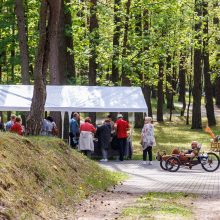 Šeimų sąjūdžio maršas praėjo taikiai ir sklandžiai: policija pažeidimų nefiksavo