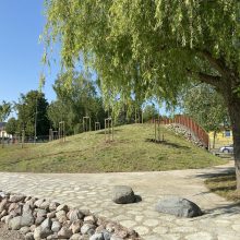 Klaipėdoje lankytojams atveriama nauja poilsio erdvė – sakurų parkas