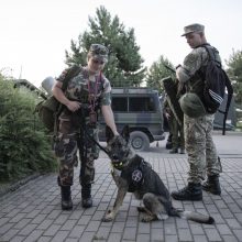 Seimas patvirtino prezidento sprendimą dėl didesnių įgaliojimų kariams pasienyje