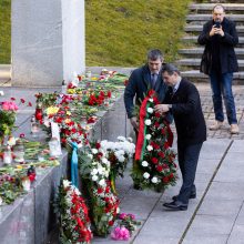 Policijos atstovas apie gegužės 9-ąją: rimtų neramumų nebuvo, sulaikyti du asmenys