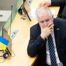 Ukrainos Rados vicepirmininkė Seime: šiandien kovojame už visos Europos laisvę