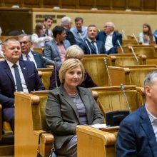 Seimo vadovė: dabar mėginti blokuoti parlamento darbą yra neatsakinga