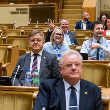 Seimo vadovė: dabar mėginti blokuoti parlamento darbą yra neatsakinga