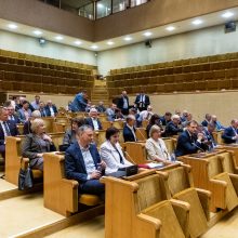 Politologai įvertino chaotišką dieną Seime ir prezidento poziciją: atrodo nesolidžiai