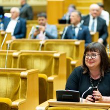 Seimo vadovė: dabar mėginti blokuoti parlamento darbą yra neatsakinga