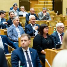 Seimo vadovė: dabar mėginti blokuoti parlamento darbą yra neatsakinga