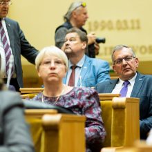 Politologai įvertino chaotišką dieną Seime ir prezidento poziciją: atrodo nesolidžiai