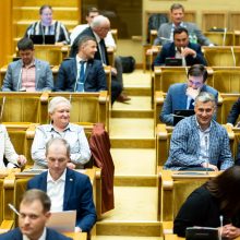 Seimo vadovė: dabar mėginti blokuoti parlamento darbą yra neatsakinga