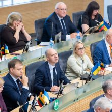 Seimo opozicijoje – ginčai dėl siūlymo šaukti neeilinę sesiją
