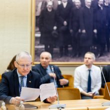 I. Šimonytė: Ukraina turi būti NATO susitikimo Vilniuje laimėtoja