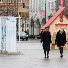 Premjerė ragina žmones eiti balsuoti: sėdėti ant sofos ar kariauti feisbuke nėra pilietiška