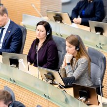 Seimas ėmėsi siūlymo įstatymu įtvirtinti neteisėtų migrantų apgręžimą pasienyje