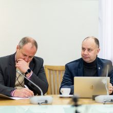 D. Kreivys: Lietuva per artimiausius dešimtmečius taps elektros eksportuotoja