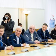 D. Kreivys: Lietuva per artimiausius dešimtmečius taps elektros eksportuotoja