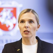 A. Bilotaitė: sienos su Baltarusija būtų uždaromos sulaukus incidentų, žvalgybos įspėjimų