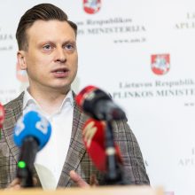 S. Gentvilas: už želdinių naikinimą – grėsmė negauti leidimo statybai ir didesnės baudos