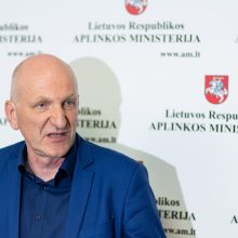 S. Gentvilas: už želdinių naikinimą – grėsmė negauti leidimo statybai ir didesnės baudos