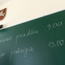 Lietuvių kalbos ir literatūros egzaminu prasidėjo brandos egzaminų sesija
