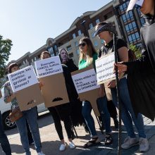 Prie Seimo – piketas: ragina nedrausti kailinių žvėrelių verslo