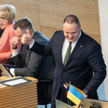 G. Landsbergis: pirmalaikius rinkimus siūlome vietoje „trijų ministrų Golgotos“