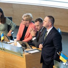 Seimas atmetė siūlymą: rugsėjį pirmalaikių rinkimų Lietuvoje nebus