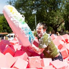 Vilniuje prasidėjo šaltibarščių festivalis – įtraukė rožinių pramogų sūkurys