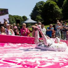 Vilniuje prasidėjo šaltibarščių festivalis – įtraukė rožinių pramogų sūkurys