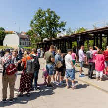 Vilniuje prasidėjo šaltibarščių festivalis – įtraukė rožinių pramogų sūkurys