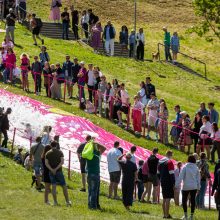 Vilniuje prasidėjo šaltibarščių festivalis – įtraukė rožinių pramogų sūkurys