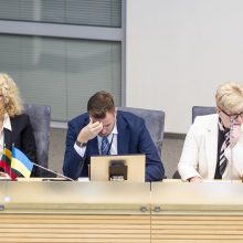 I. Šimonytė ir G. Landsbergis įvertino prezidento pranešimą: tai – rinkiminė kalba