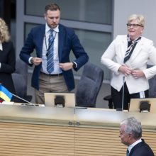 I. Šimonytė ir G. Landsbergis įvertino prezidento pranešimą: tai – rinkiminė kalba