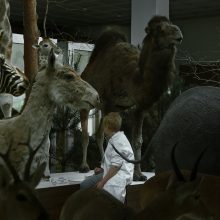 Filmas „Animus animalis“ grįžo iš „HotDocs“ festivalio Toronte