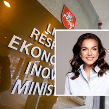 V. Jurgutį ekonomikos ir inovacijų viceministro poste pakeis E. Kuročkina