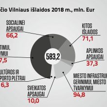 Vilniaus biudžetas šiemet turėtų būti didesnis