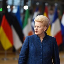 D. Grybauskaitė pasigenda konkretumo siūlant sudaryti euro zonos biudžetą