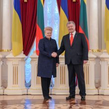 D. Grybauskaitė: Lietuva perduos Ukrainai šovinių, siųs daugiau instruktorių