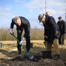 G. Nausėda aplankė J. Basanavičiaus gimtinę – pasodino ąžuoliuką