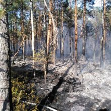 Prasidedant gaisrų sezonui – miškininkų reidai