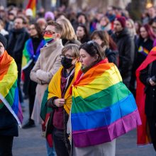 Ekspertė apie Civilinės sąjungos įstatymą: tai keli vandens lašai į dykumą