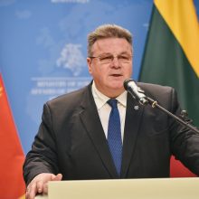 L. Linkevičius: integracijos į ES procesai vyksta ne pagal kalendorių