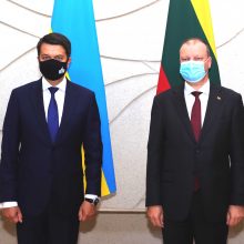 S. Skvernelis: Ukraina ir toliau sulauks visokeriopos pagalbos