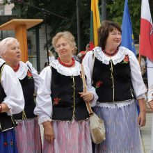 Prie Vyriausybės protestas prieš migrantus Dieveniškėse: pas mus gaisras, padėkite jį nugesinti