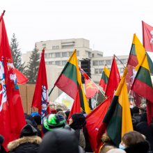 Sausio 13-osios minėjimas – triukšmingas: premjerė kalbą sakė su ašarom, protestuotojai rėkė „Gėda!“