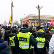 A. Bilotaitė: neapykantos kurstymas Lietuvai šventą dieną – nepateisinamas