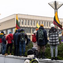 Po protesto – A. Orlausko pareiškimas apie valdžią: jie – ne vadovai, jie iškamšos